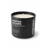 Harana — Minted Escape | 17oz 3-Wick Candle